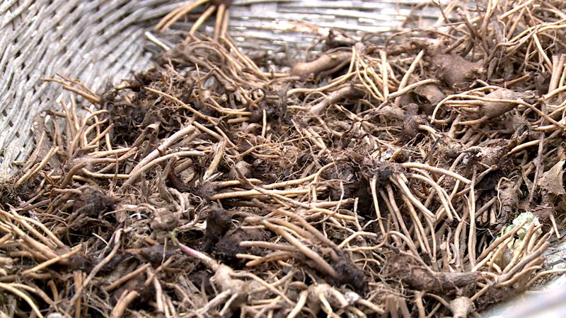 九道乡八里坡村:春日好时节 春耕备耕忙