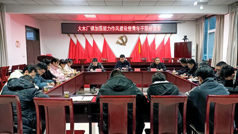 大木厂镇召开加强能力作风建设暨青年干部座谈会