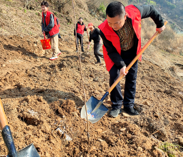 房县大木厂镇财政所：开展春季义务植树活动