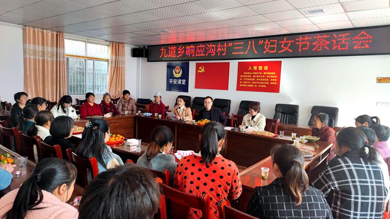 巾帼心向党 奋进新征程 九道乡开展庆“三八”妇女节系列活动