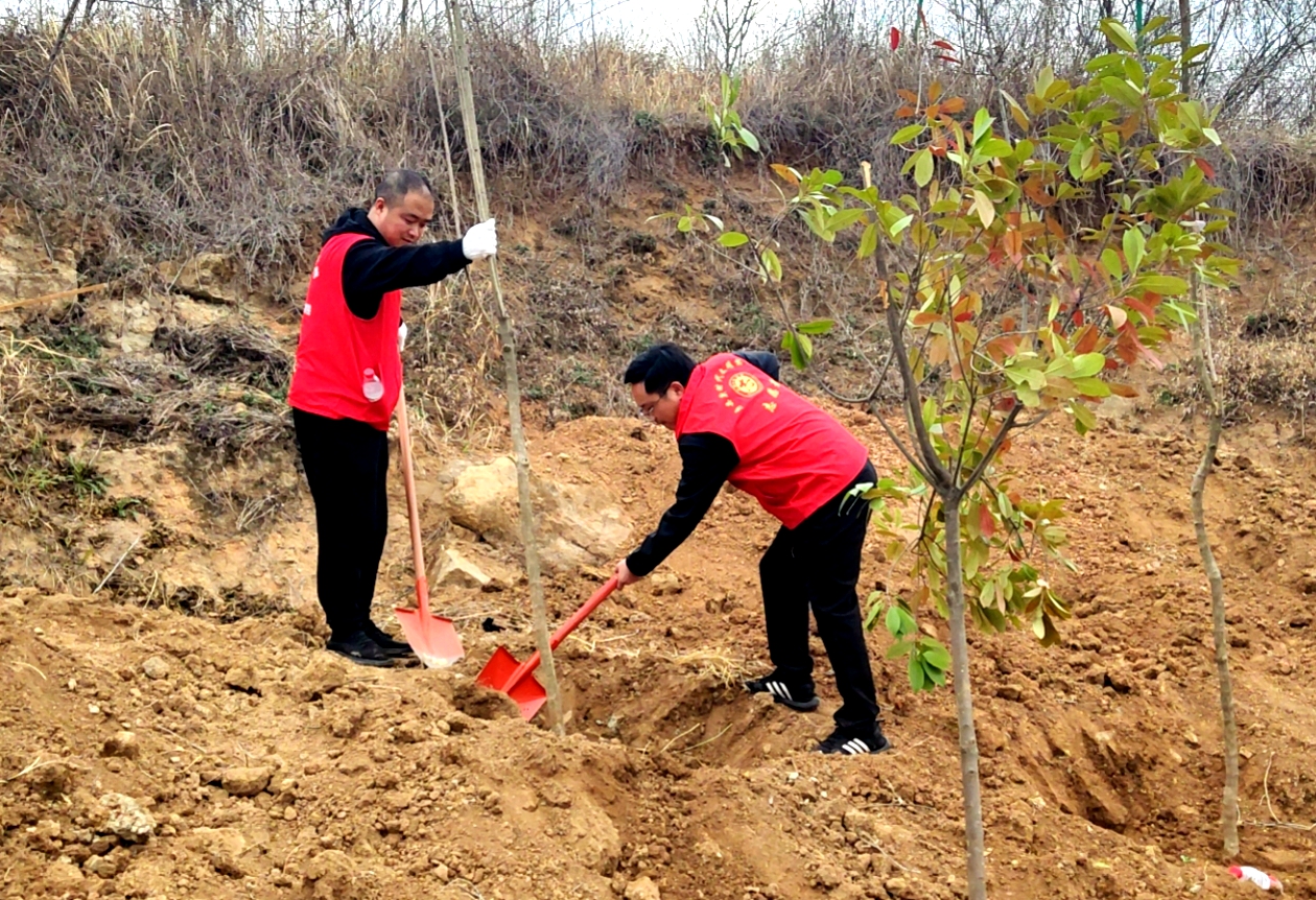 种好一片绿，当好守护者