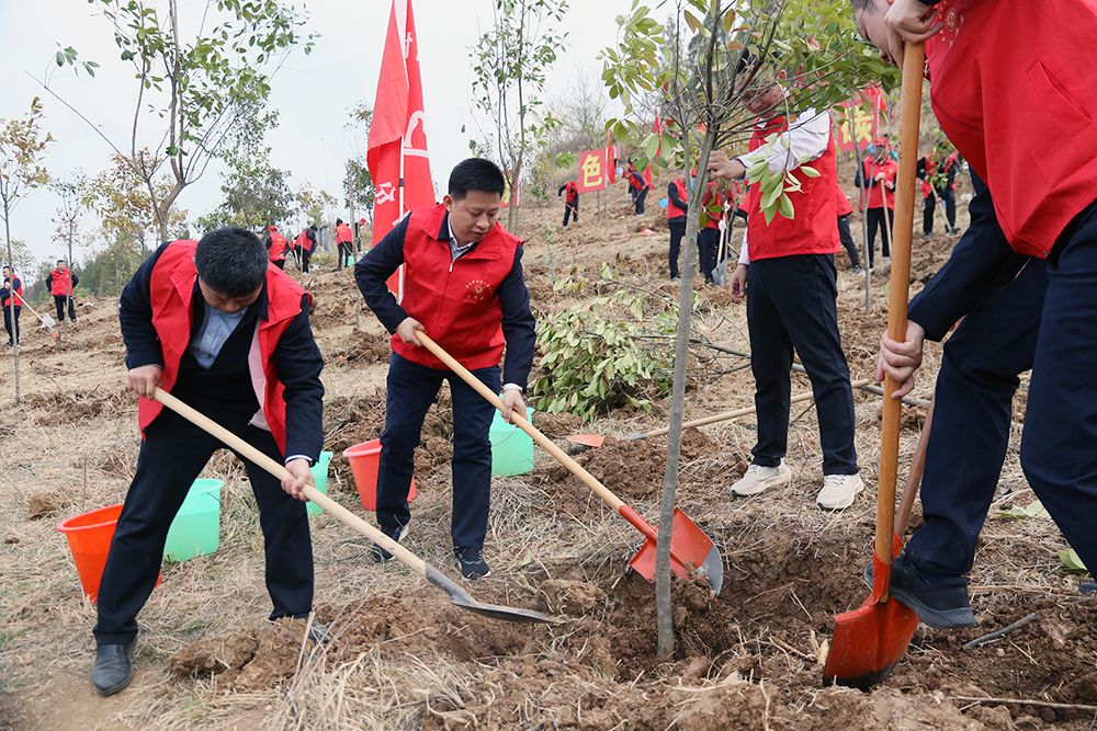 纪道清谢晓鸣等县领导参加义务植树活动