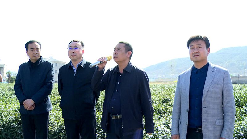 县农机服务中心：召开茶园管理抗旱现场会