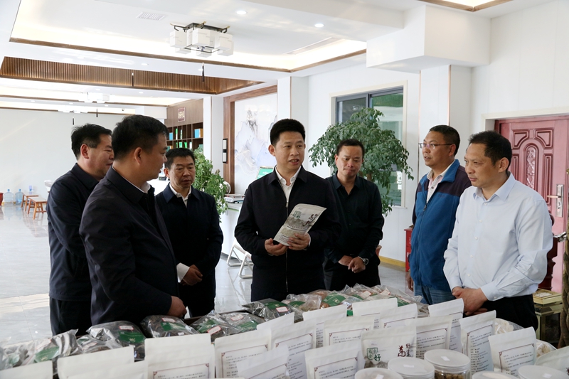 纪道清强调：落实落地七大产业链政策 推动乡村振兴示范村建设结硕果