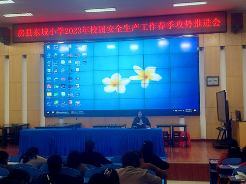 县东城小学召开校园安全生产工作春季攻势推进会
