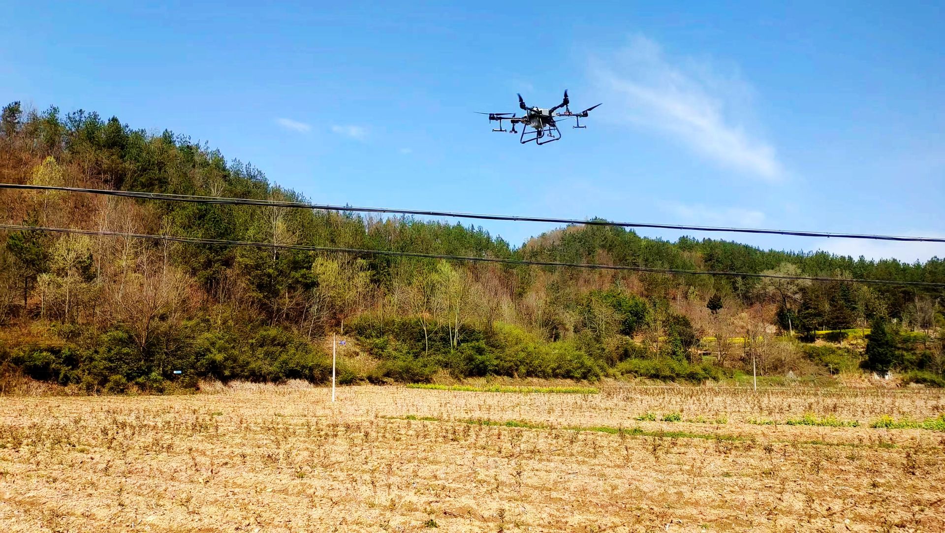门古寺镇项家河村：无人机喷药百亩茶叶园 工作队精准帮扶解民忧