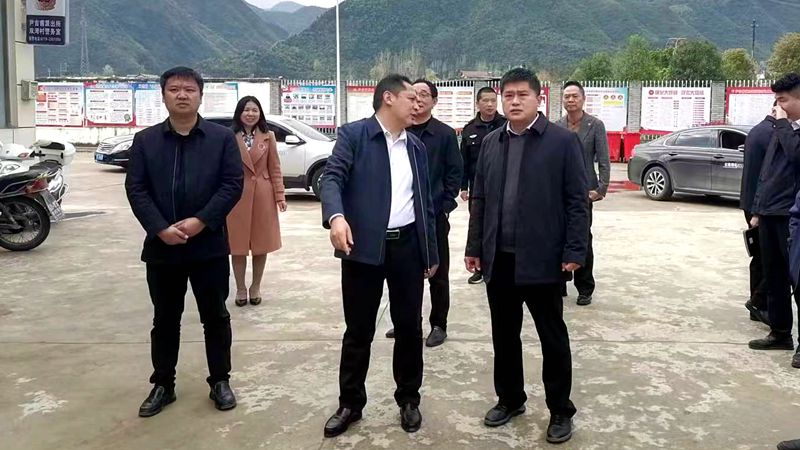 马兰起到尹吉甫镇调研产业发展和基层社会治理工作