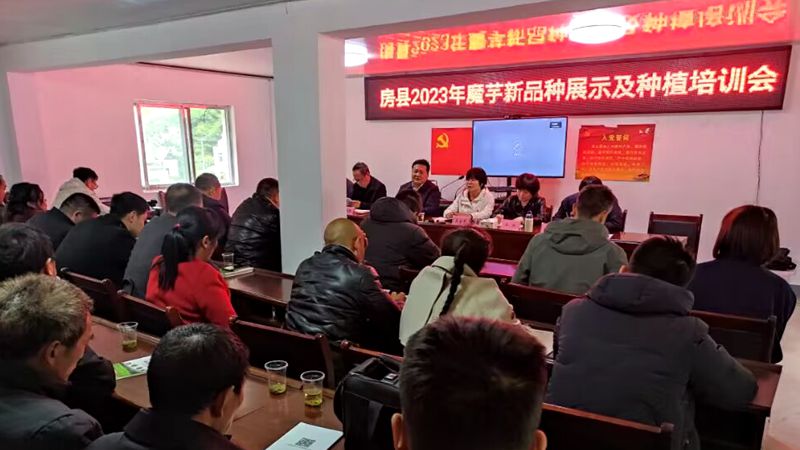 我县开展魔芋绿色优质标准化种植技术专题培训