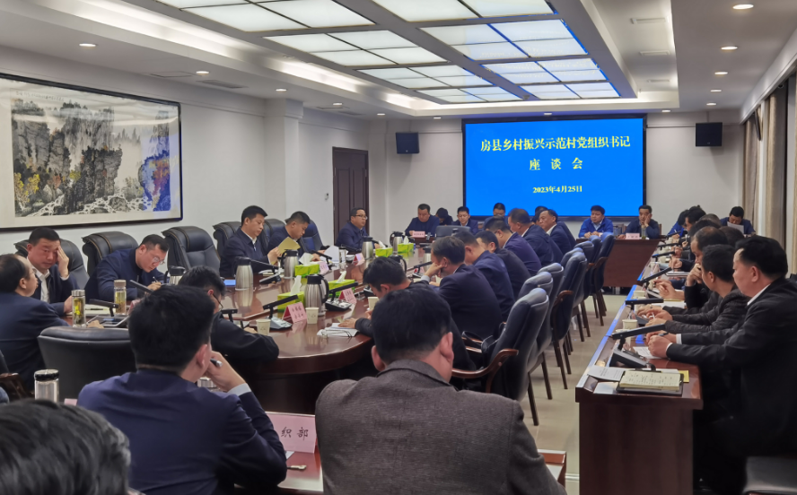 全县乡村振兴示范村党组织书记座谈会召开