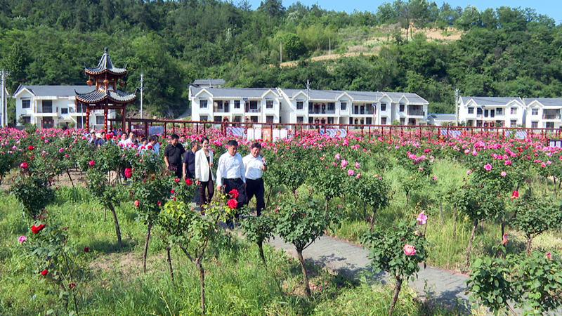 房县开展2023年第一季度乡村振兴示范村拉练