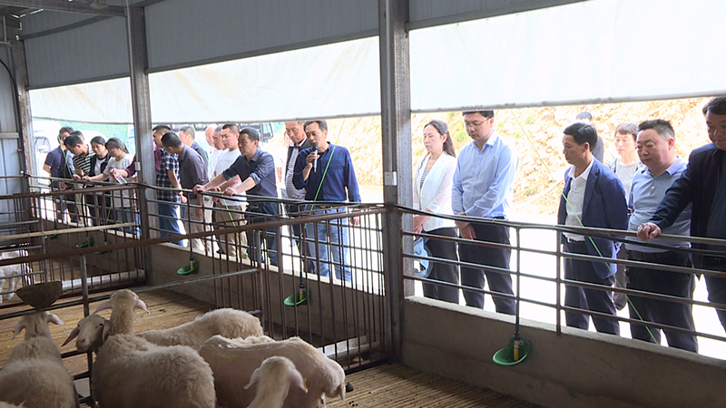 青峰镇：实地观摩取真经 竞进拉练促提升