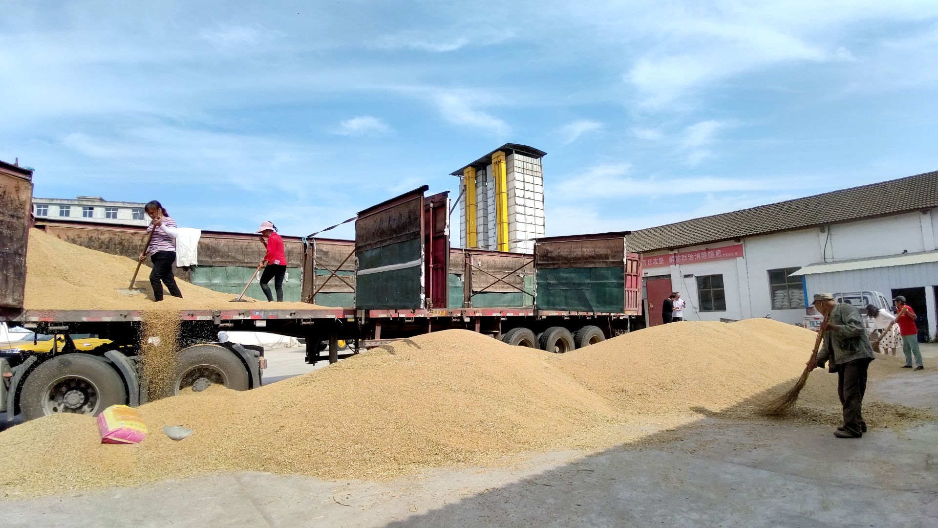 房县供销社强化夏粮烘干收储 全力保障粮食安全