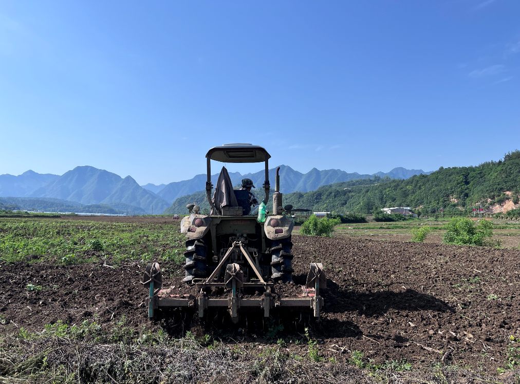 军店镇：时令催人忙，不负好时光