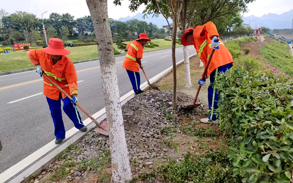【创文五大专项整治】房县城管开展绿化带卫生专项整治