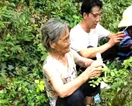 土城镇：七旬老人午夜走丢，各方助力终于找回