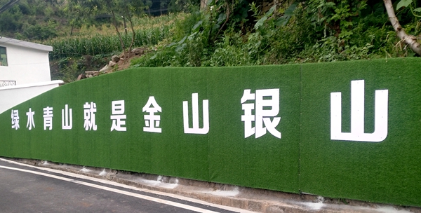 姚坪乡：打造文明乡镇 助力文明城市创建