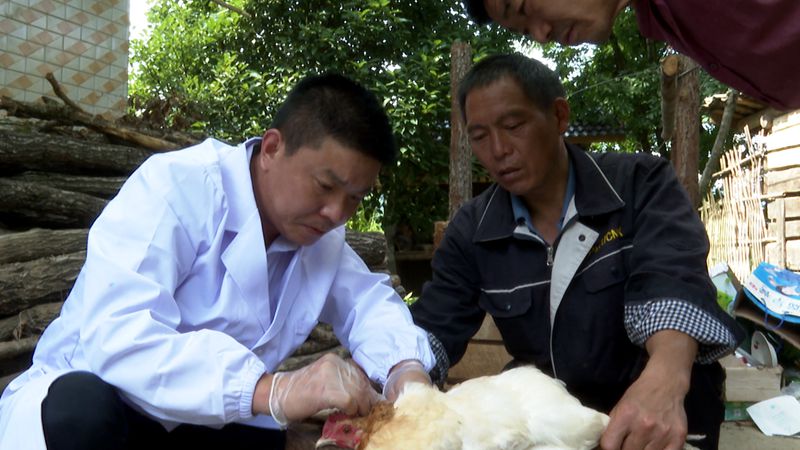 《劳模风采》 陈泽品：让养殖户的“钱袋子”鼓起来