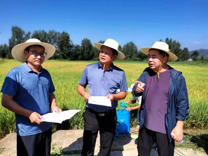 房县： 无人机“飞防”病虫害  确保水稻丰产