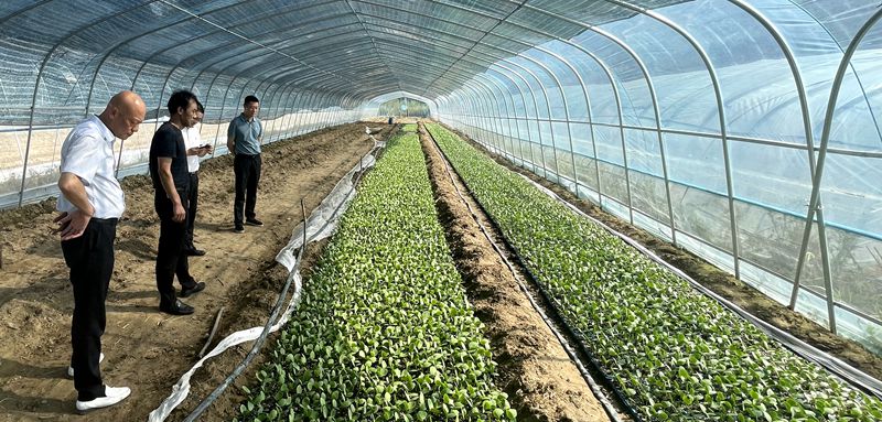 县人民法院院长陈凯到五谷庙村调研乡村振兴工作