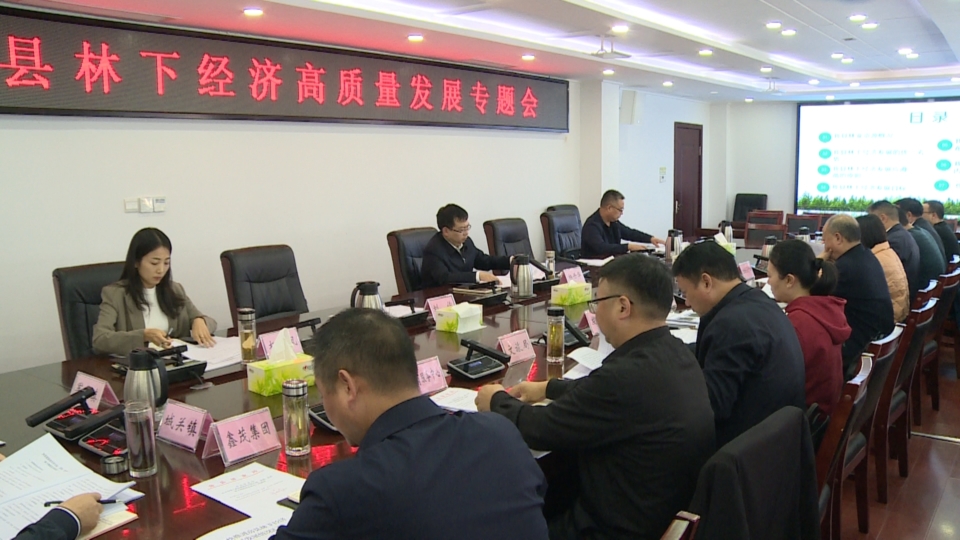 杨丹华主持召开全县林下经济高质量发展专题会