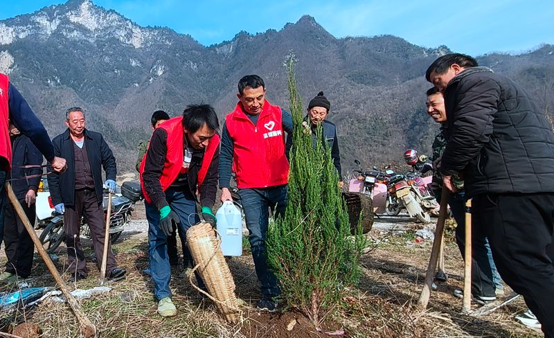 九道乡开展春季植树造林活动