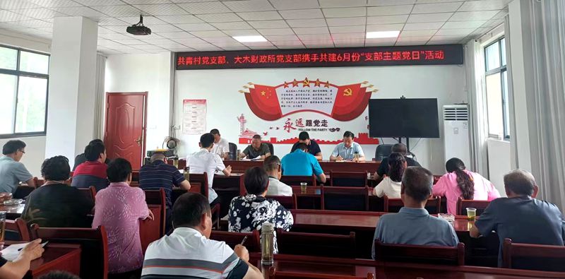 房县大木厂镇财政所：支部携手共建 竭诚为民服务