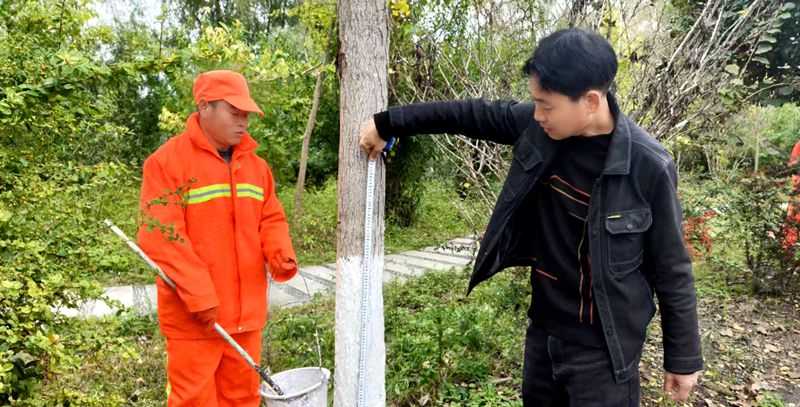 房县公路养护中心给秋季路树穿“新衣”