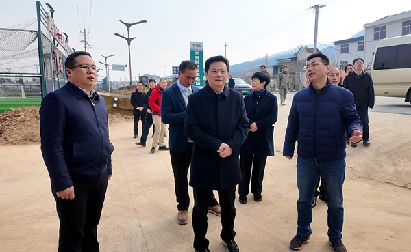 国家电网华中分部党委书记安军一行来我县调研乡村振兴工作