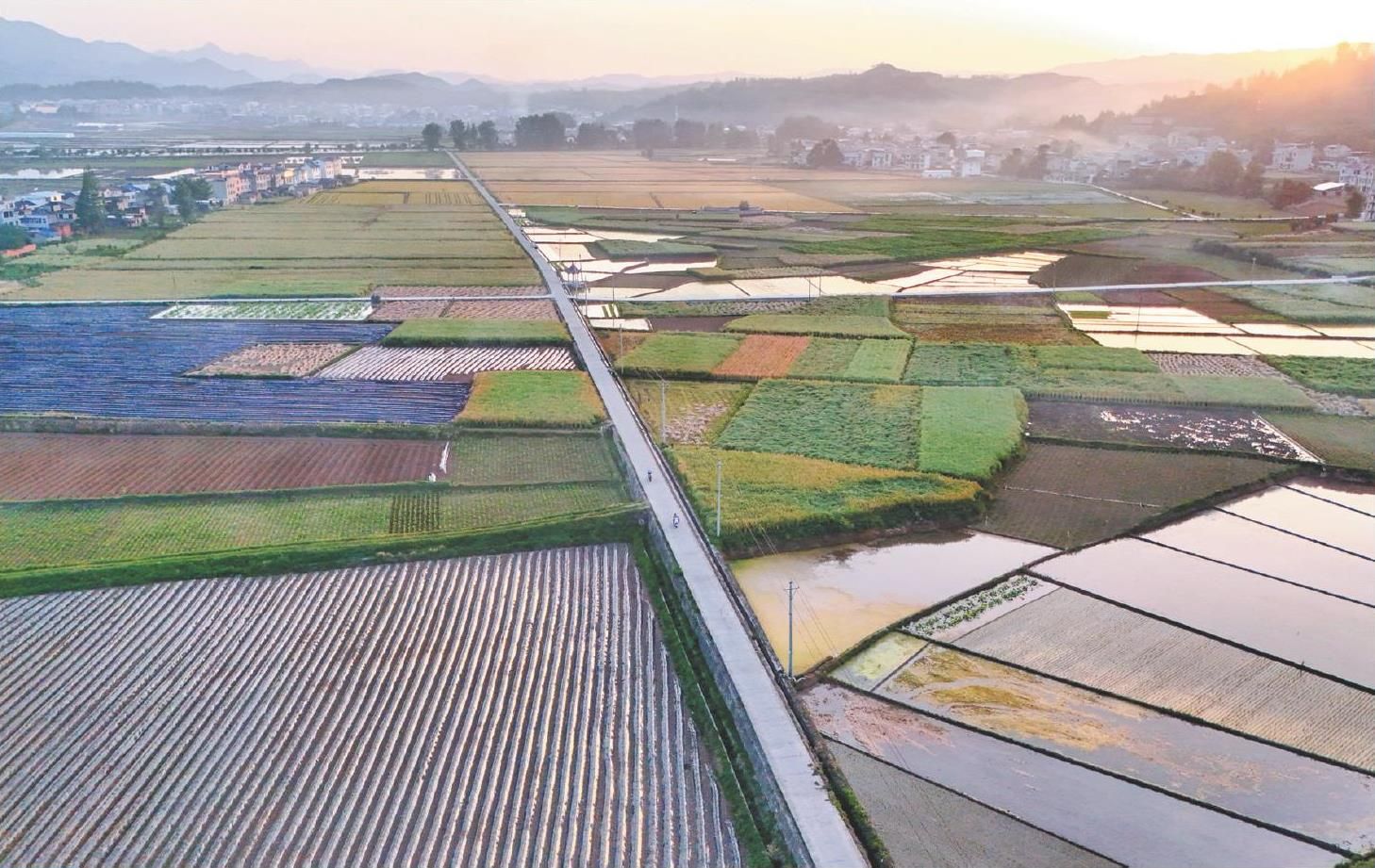军店镇：多彩大地 诗意田园