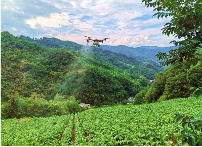 房县：烟农“好帮手”解锁植保“新姿势”
