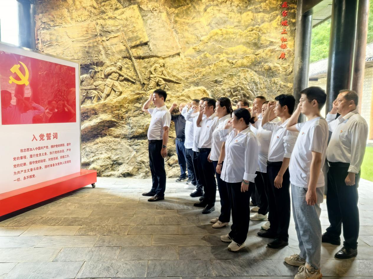 五台乡财政所开展“七一”红色教育活动