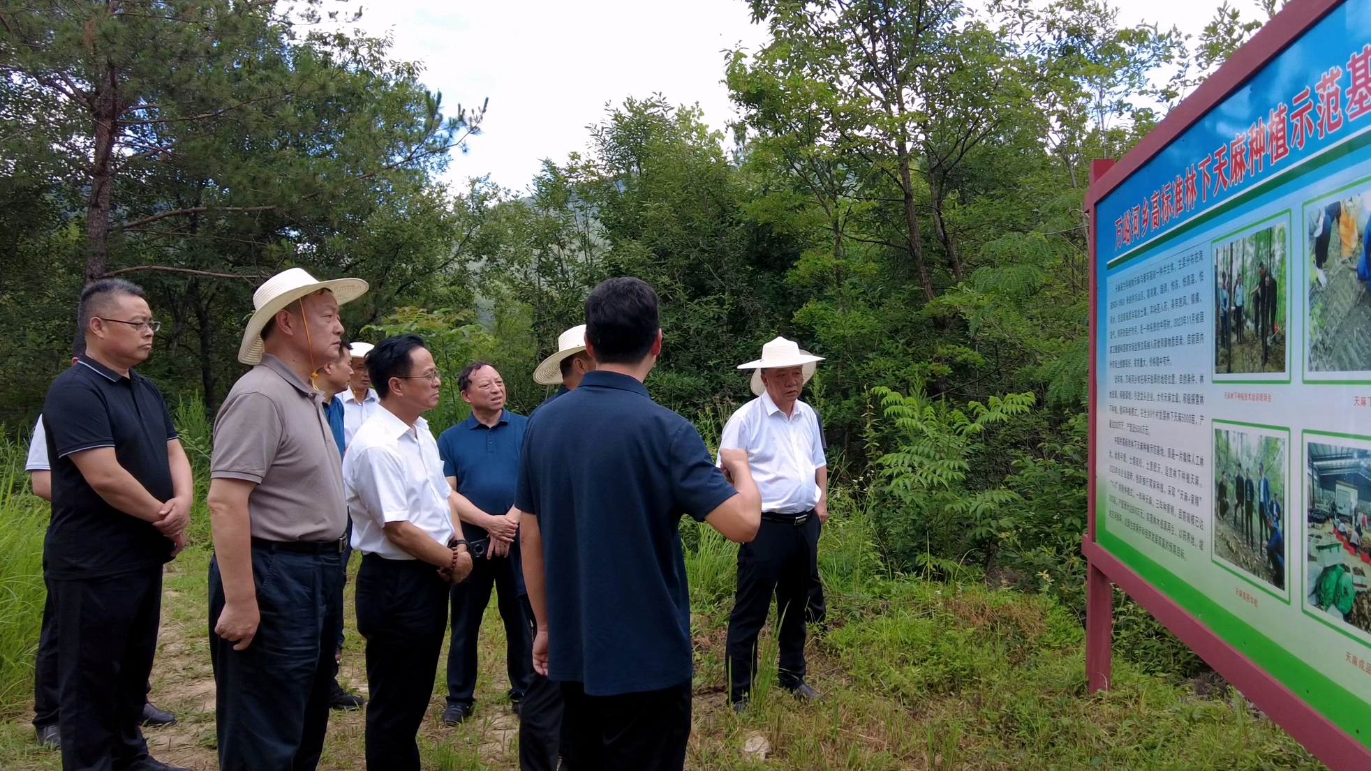 市人大常委会调研组来房调研林下经济产业发展情况