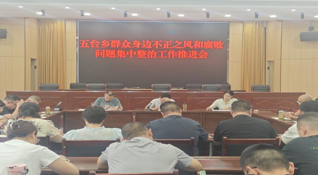 五台乡财政所：以“三资”管理突击战为抓手 推动专项整治走深走实