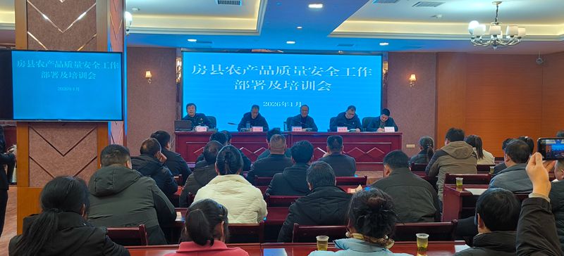 我县安排部署蔬菜质量安全及冬春蔬菜生产工作
