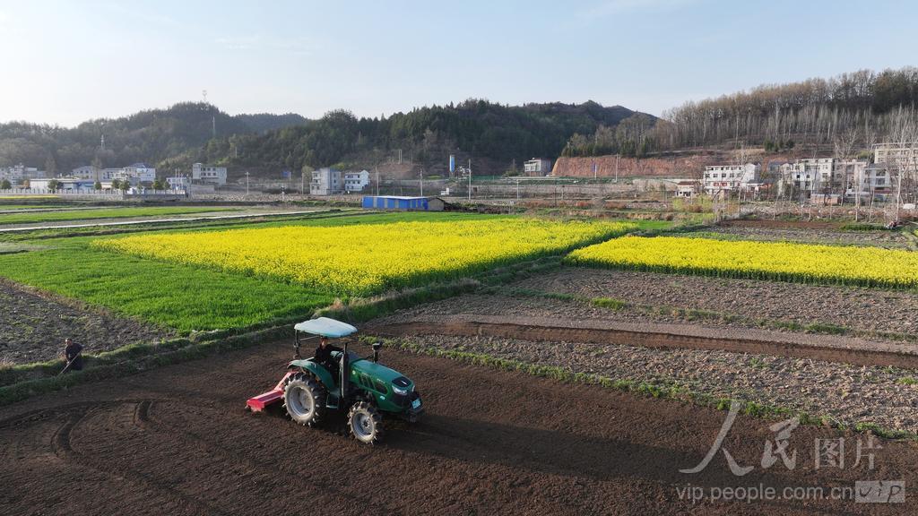 湖北房县：田间春耕忙