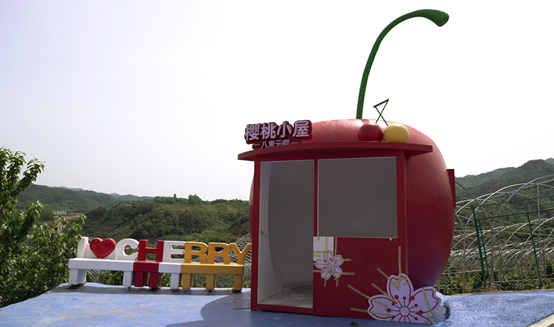 城关镇八里村樱桃园焕新迎客 樱桃节本周日浪漫开幕