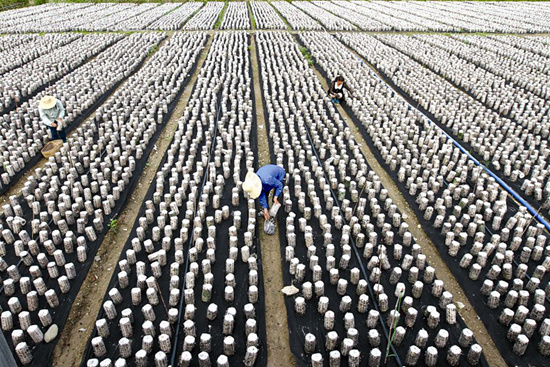 决战精准扶 实现同步小康