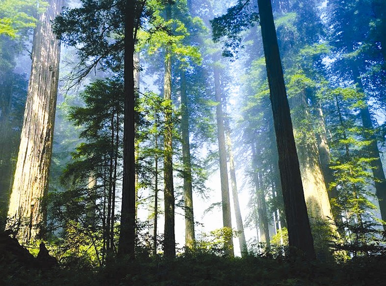 人杰地灵 物华天宝