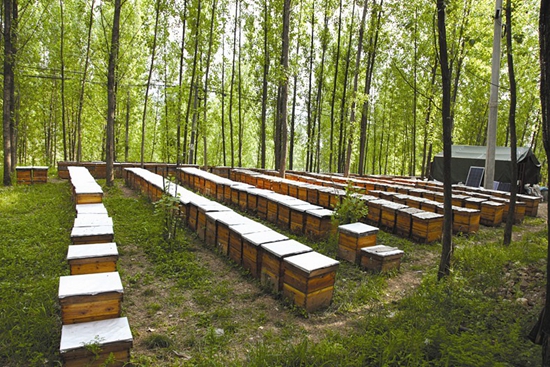 做大绿色增量聚合绿色能量