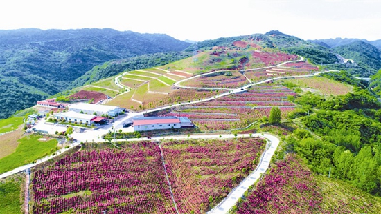 满怀豪情写华章 千年古镇展新姿