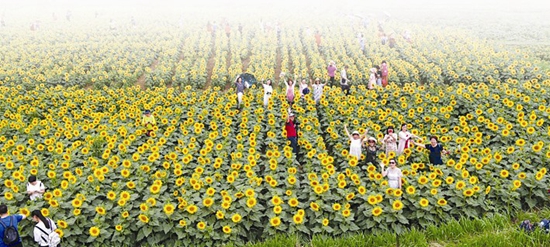 美丽古镇换新颜