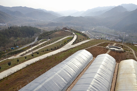 浓墨重彩写传奇