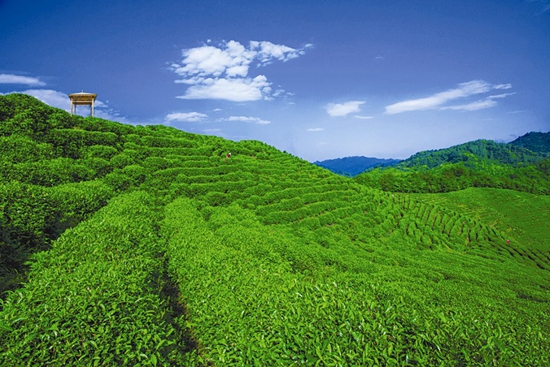 真抓实干书锦绣