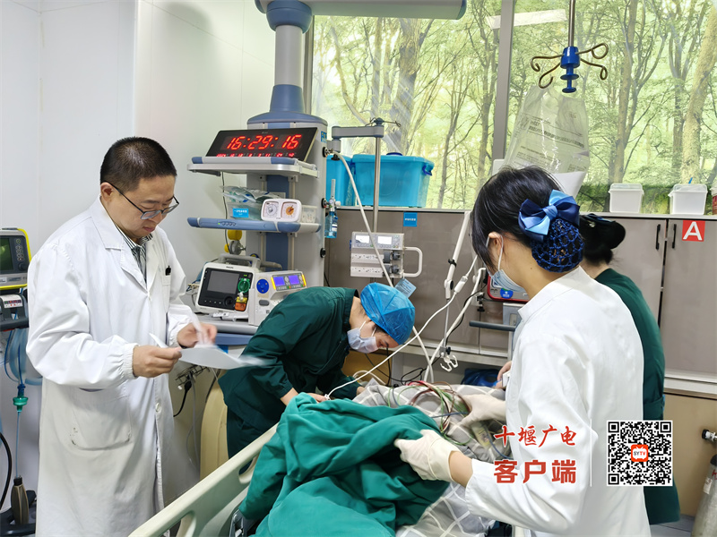 微信图片_20241013173038