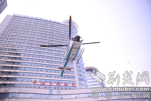 飞越海拔3000多米的“华中屋脊” 十堰人医直升机43分钟空降神农架急救多发伤患者