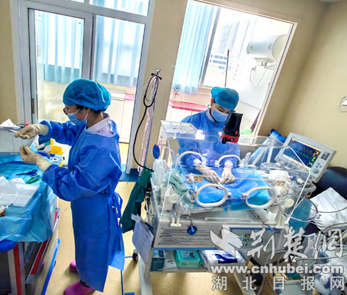 出生仅700g!早产“巴掌宝宝”在十堰人医重获新生