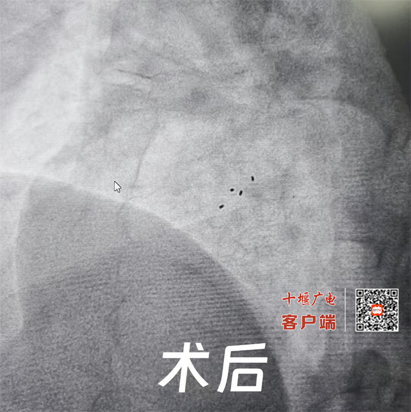 微信图片_20250603120302_副本
