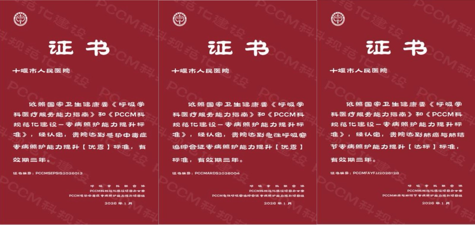 十堰人医呼吸与危重症医学科斩获国家级荣誉