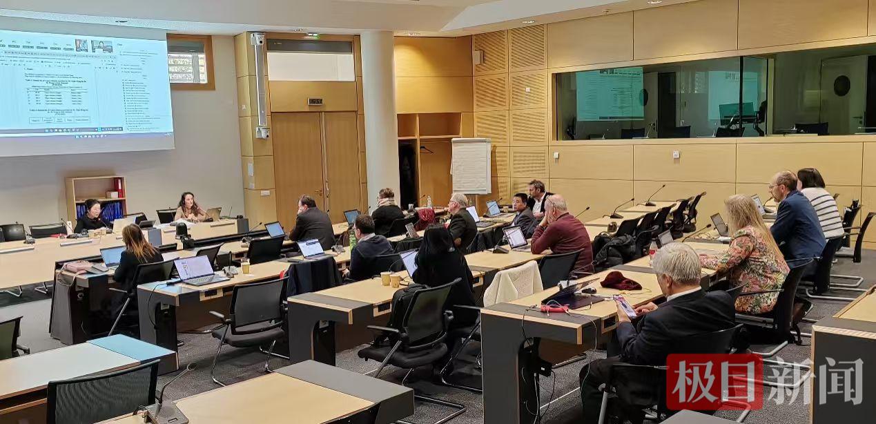 湖北“十大楚药”艾叶,被欧洲药典“看中”了!十堰专家推动纳入标准研究计划